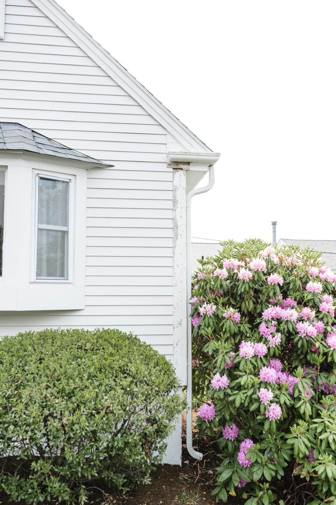 Greyfinch Chatham Inn المظهر الخارجي الصورة